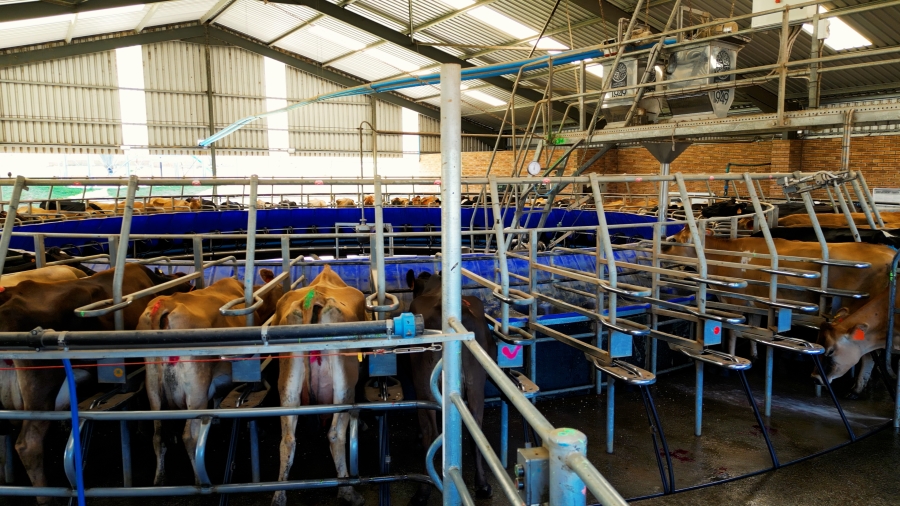 0 Bedroom Property for Sale in Stutterheim Rural Eastern Cape